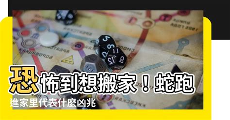 蛇跑進家裡代表什麼|家裡有蛇代表什麼？5種吉兆解析